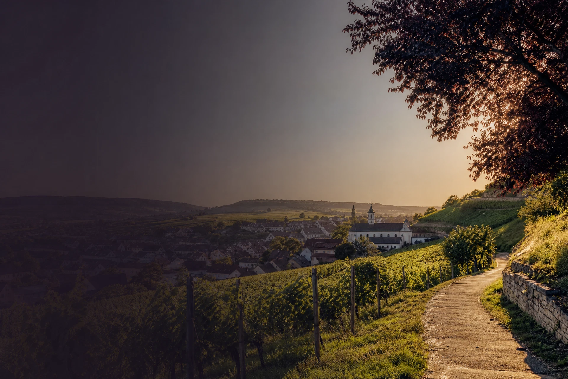 Illustrative Weinberg- und Ortslandschaft bei Cleebronn