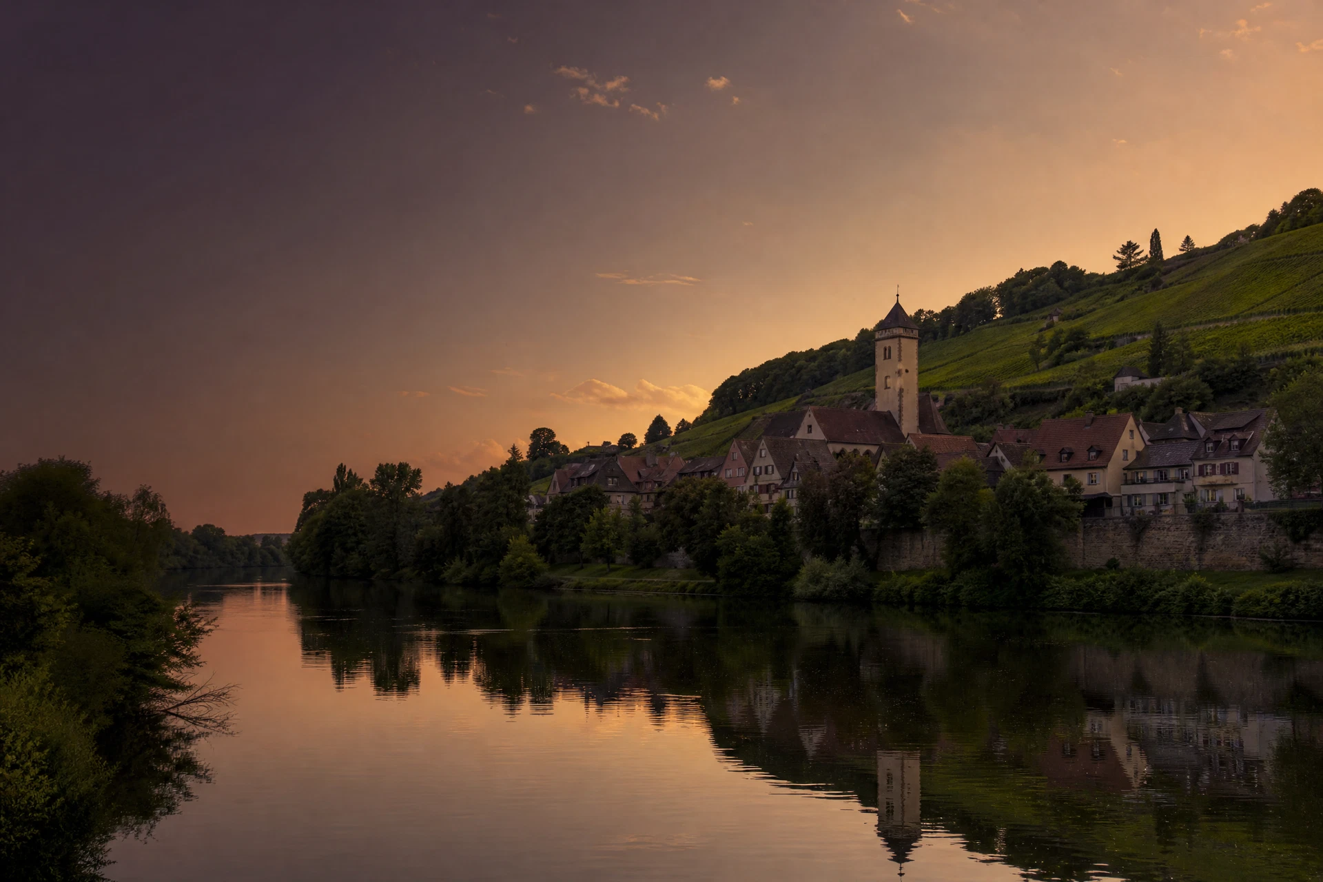 Illustrative Neckar- und Weinlandschaft bei Lauffen am Neckar